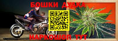 прущие крисы Нарткала