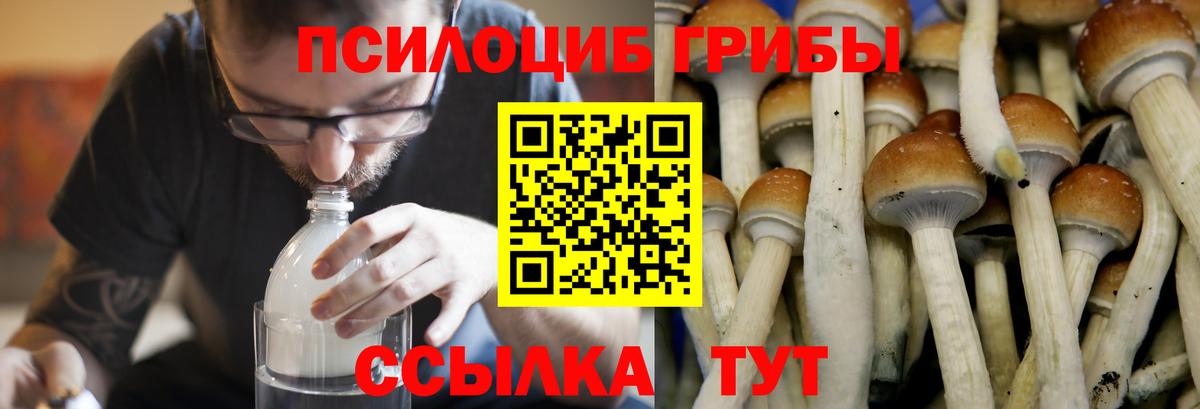 Псилоцибиновые грибы мухоморы  Галлюциногенные грибы Cubensis  Вход с VPN  Сердобск 